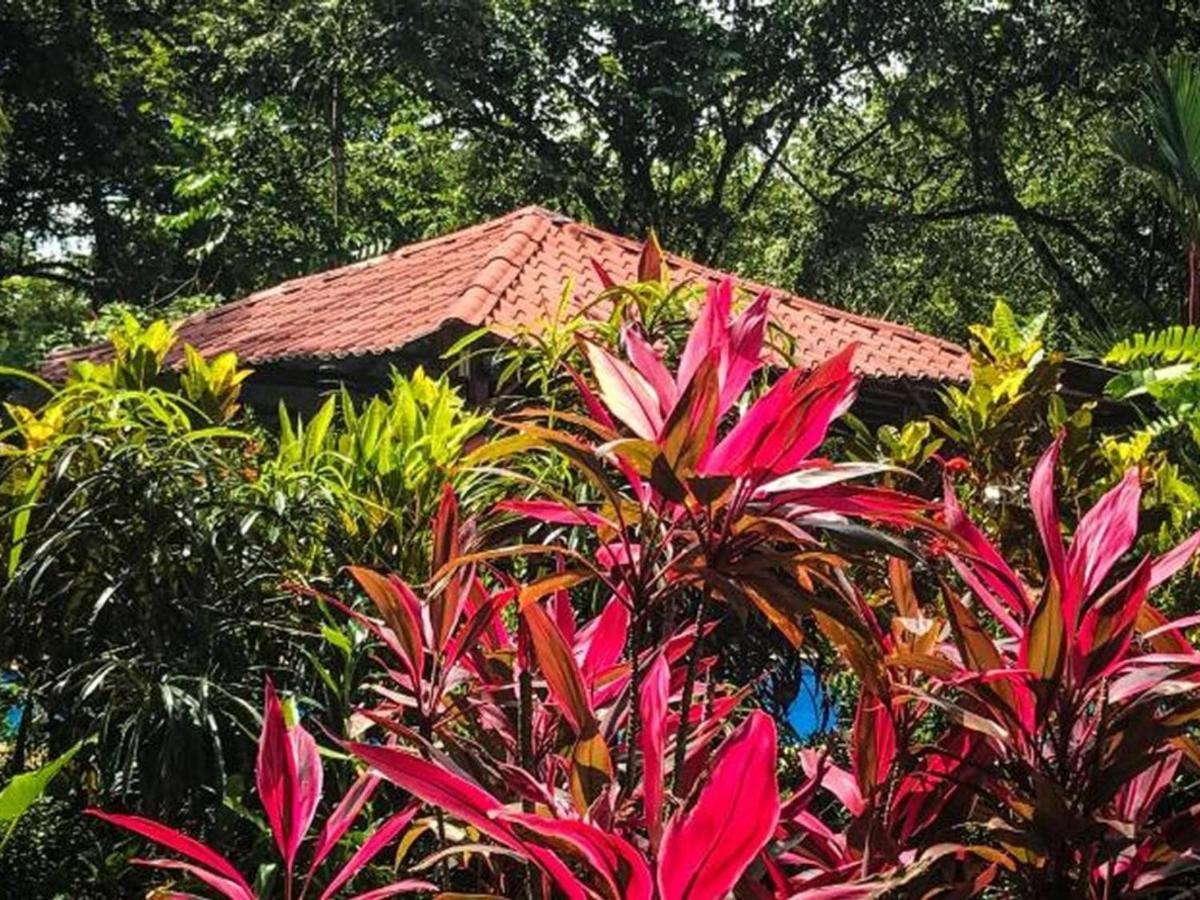 Casa Colores Montezuma Exterior foto