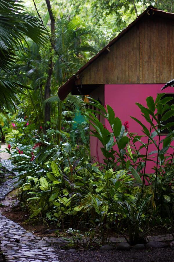 Casa Colores Montezuma Exterior foto